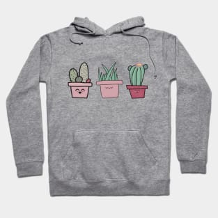 Cactus and Succulent Plant - Pink Planted Pots with Hearts Hoodie